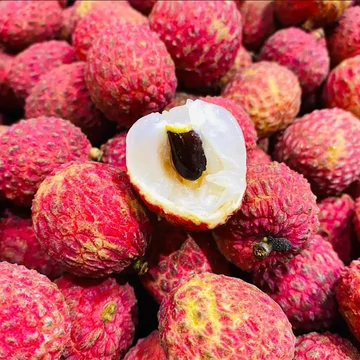 Licsi (Litchi chinensis ’Kwai May Pink’)