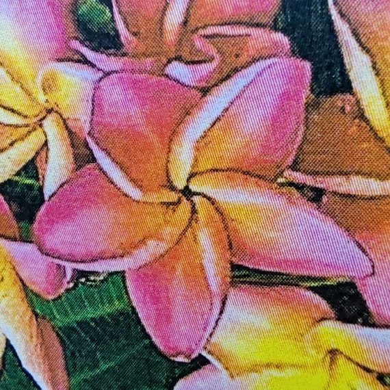 Plumeria rubra ’Thai Mattalica’