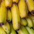 Kép 3/3 - Fagytűrő termő banán