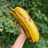 Kép 1/4 - Hawaii óriástermésű banán (Musa ’Hua moa’)
