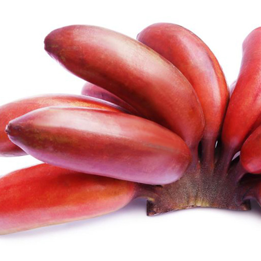 Törpe kubai vörös termőbanán (Musa acuminata 'Figura rose nain')
